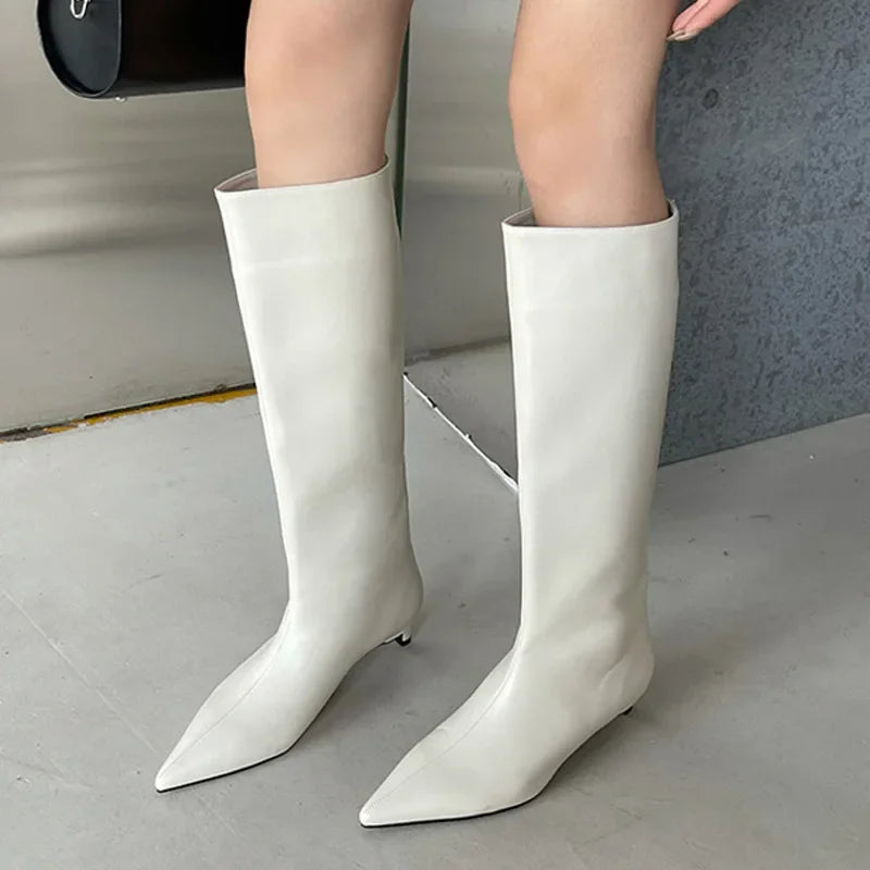 Pointed Toe Women High Boots Leather Fashion Sexy Heels Shoes Woman Trend New Snow Boots Low Heels Elegant Goth Mujer Botas