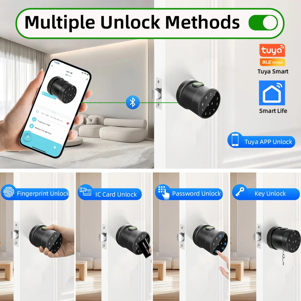 RAYKUBE L16A Tuya Bluetooth Smart Fingerprint Deadbolt Lock Keyless Round Knob Digital Electric Lock with APP/Key/Code Unlock